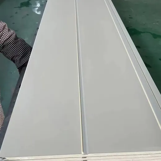 Panel elewacyjny PanPanel